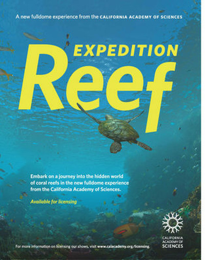 Zdjęcie - Ekspedycja Rafa